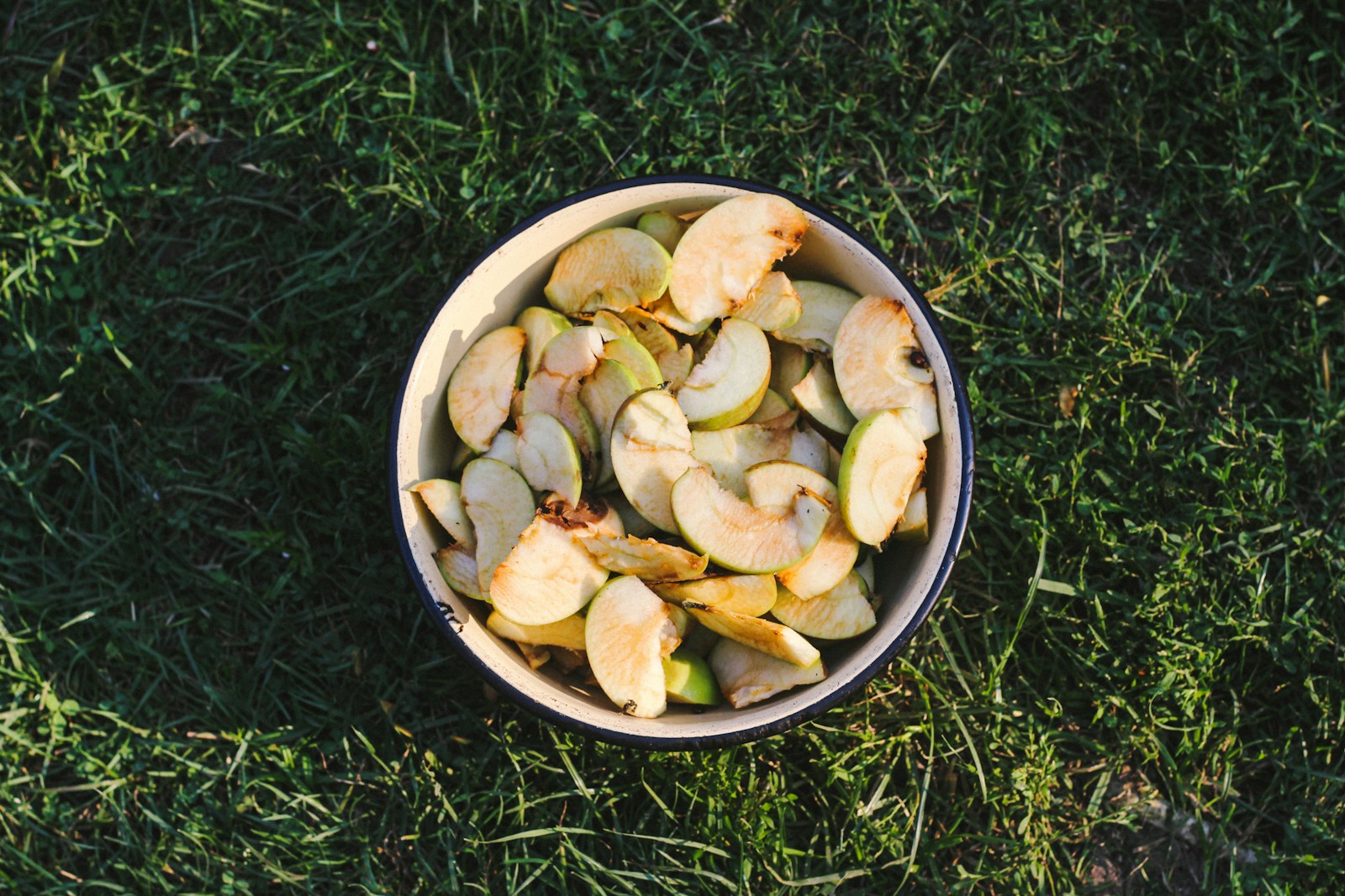 a bowl of sliced apples sitting on top of a lush green field